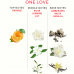 EYE OF LOVE - EOL PHR PARFUM DELUXE 50 ML - ONE LOVE